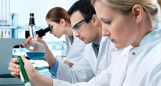 Paramedical Training Overview