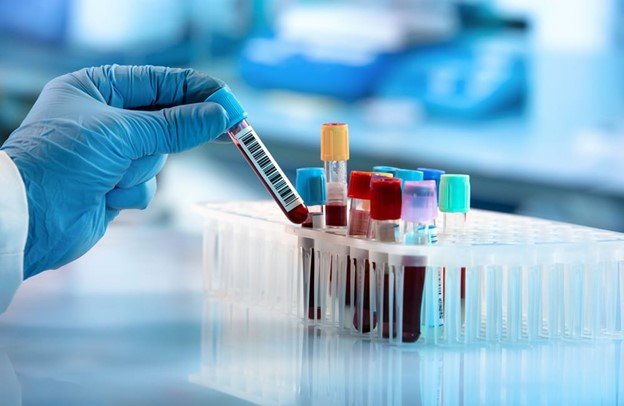 About Paramedical